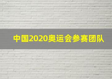 中国2020奥运会参赛团队