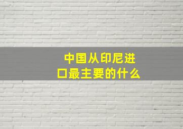 中国从印尼进口最主要的什么