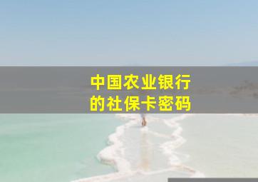 中国农业银行的社保卡密码