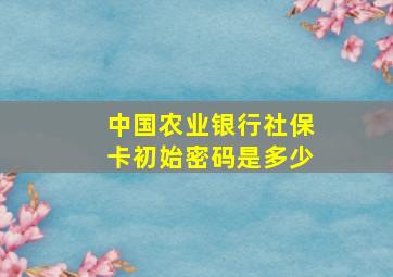 中国农业银行社保卡初始密码是多少