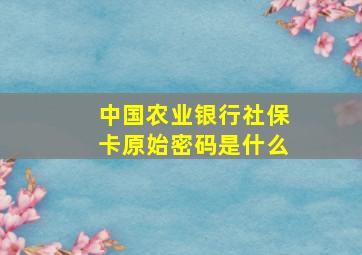 中国农业银行社保卡原始密码是什么