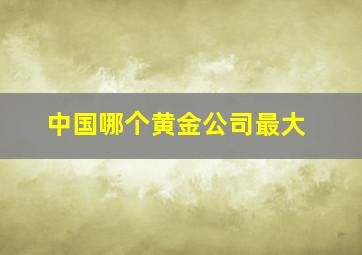 中国哪个黄金公司最大