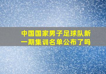 中国国家男子足球队新一期集训名单公布了吗