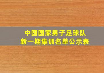 中国国家男子足球队新一期集训名单公示表