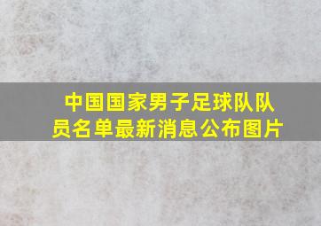 中国国家男子足球队队员名单最新消息公布图片