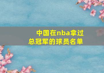 中国在nba拿过总冠军的球员名单