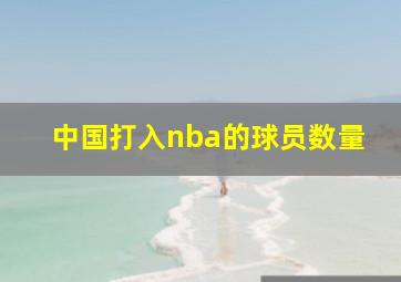 中国打入nba的球员数量