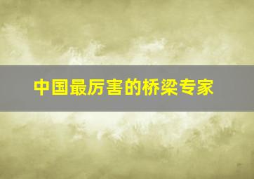 中国最厉害的桥梁专家