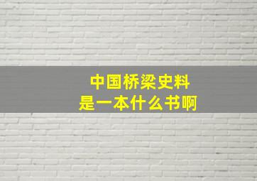 中国桥梁史料是一本什么书啊