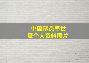 中国球员韦世豪个人资料图片