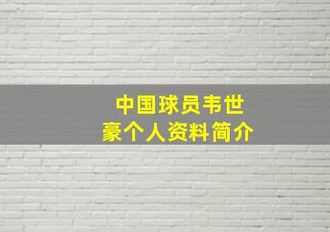 中国球员韦世豪个人资料简介