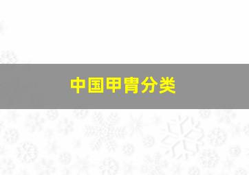 中国甲胄分类