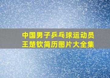 中国男子乒乓球运动员王楚钦简历图片大全集