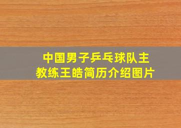 中国男子乒乓球队主教练王皓简历介绍图片