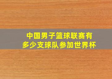 中国男子篮球联赛有多少支球队参加世界杯