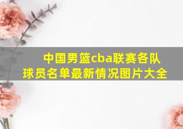 中国男篮cba联赛各队球员名单最新情况图片大全