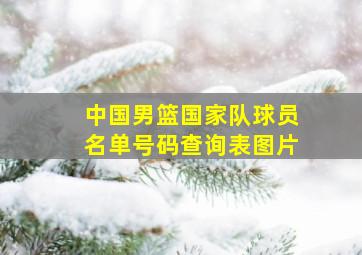 中国男篮国家队球员名单号码查询表图片