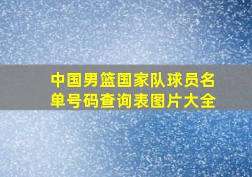 中国男篮国家队球员名单号码查询表图片大全