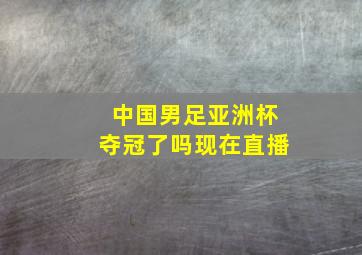 中国男足亚洲杯夺冠了吗现在直播