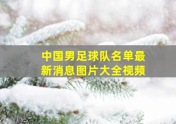 中国男足球队名单最新消息图片大全视频