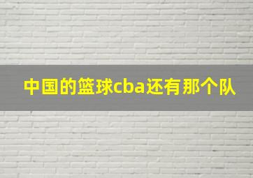 中国的篮球cba还有那个队