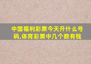 中国福利彩票今天开什么号码,体育彩票中几个数有钱