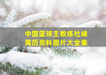 中国篮球主教练杜峰简历资料图片大全集