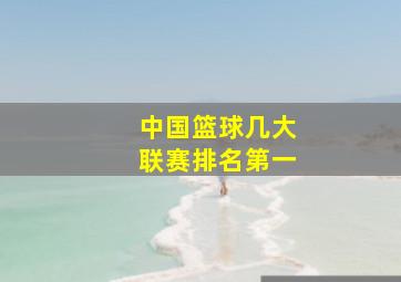 中国篮球几大联赛排名第一