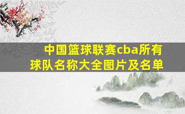 中国篮球联赛cba所有球队名称大全图片及名单