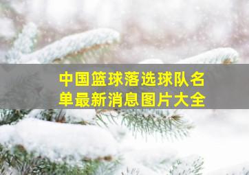 中国篮球落选球队名单最新消息图片大全