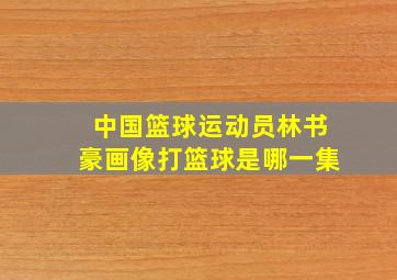 中国篮球运动员林书豪画像打篮球是哪一集