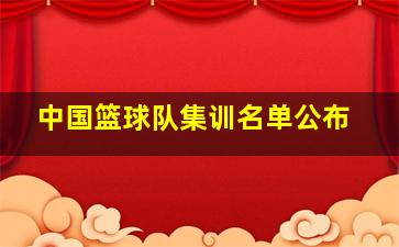 中国篮球队集训名单公布