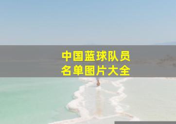 中国蓝球队员名单图片大全