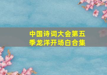 中国诗词大会第五季龙洋开场白合集