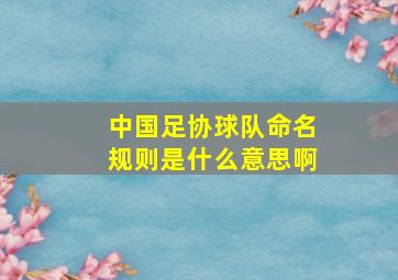 中国足协球队命名规则是什么意思啊