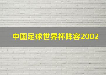 中国足球世界杯阵容2002