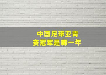 中国足球亚青赛冠军是哪一年