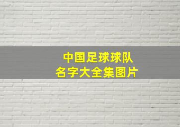 中国足球球队名字大全集图片