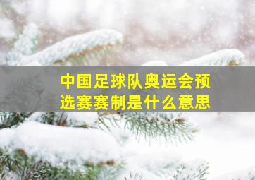 中国足球队奥运会预选赛赛制是什么意思