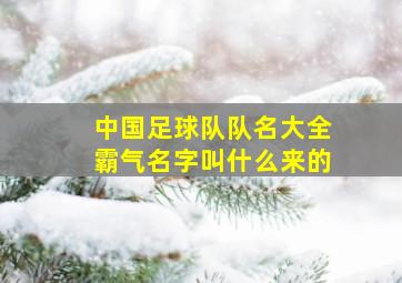 中国足球队队名大全霸气名字叫什么来的