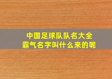 中国足球队队名大全霸气名字叫什么来的呢