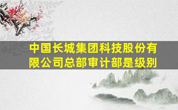 中国长城集团科技股份有限公司总部审计部是级别