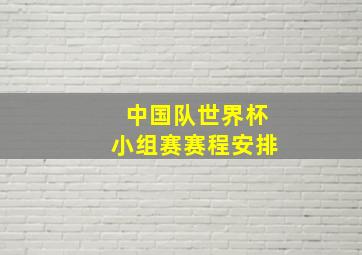 中国队世界杯小组赛赛程安排