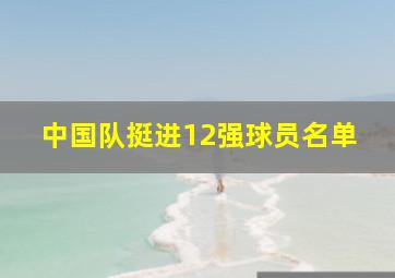 中国队挺进12强球员名单