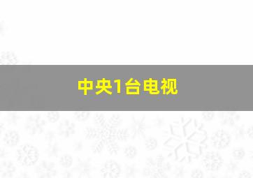 中央1台电视