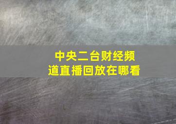 中央二台财经频道直播回放在哪看