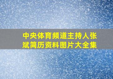 中央体育频道主持人张斌简历资料图片大全集