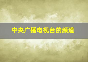 中央广播电视台的频道