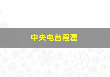 中央电台程磊