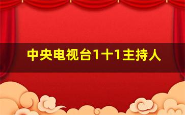 中央电视台1十1主持人